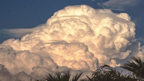 積雨雲特徵